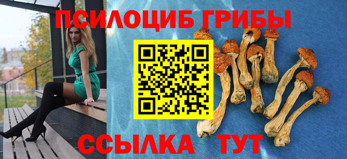 Псилоцибиновые грибы Cubensis Тула